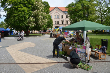 den-pardubickeho-kraje-2015