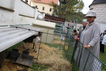 dozinky-na-zamku-v-pardubicich-2013