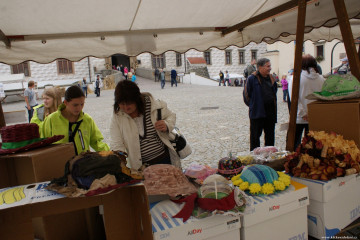 dozinky-na-zamku-v-pardubicich-2013