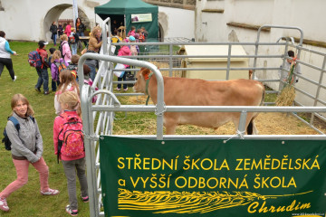 dozinky-na-zamku-v-pardubicich-2013