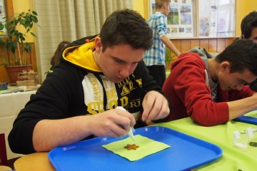 technohratky-2015-ve-stredni-skole-obchodu-remesel-a-sluzeb-zamberk