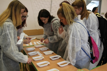 zdravohratky-2017stredni-skola-zdravotnicka-a-socialni-chrudim-25-10
