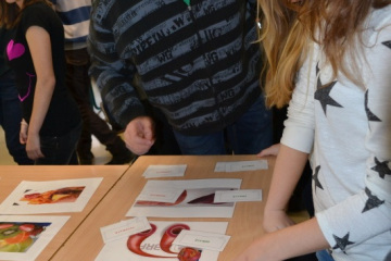 zdravohratky-2017stredni-skola-zdravotnicka-a-socialni-usti-nad-orlici-29-11