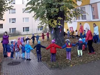 20181025_100932