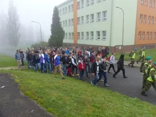 50_6