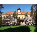 Foto2