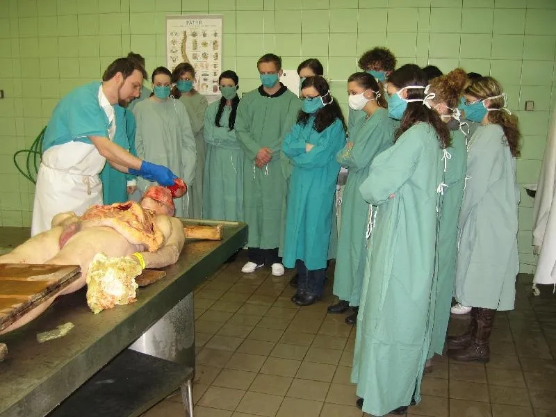 Gymnazisté z&nbsp;„Mozarťáku“ na anatomické pitvě v&nbsp;PK
