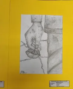 1731958627501