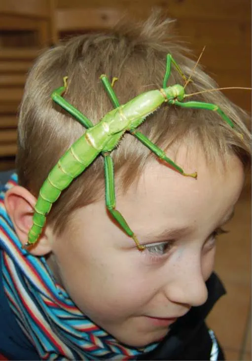 Zvířata ve výuce