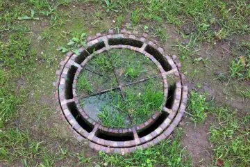 IMG_0016
