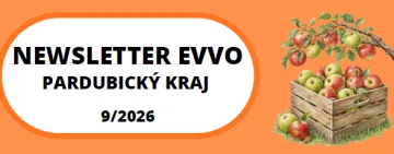 Snímek obrazovky 2026-08-28&nbsp;082319