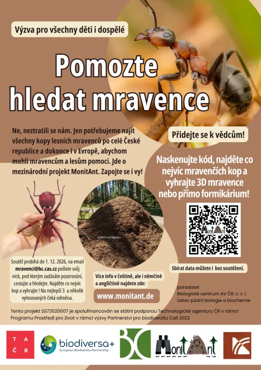 Pomozte vědcům mapovat lesní mravence 🐜
