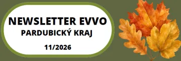 Snímek obrazovky 2026-10-29&nbsp;091924