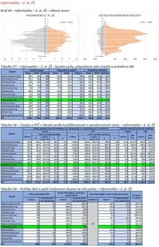 mis19_g29