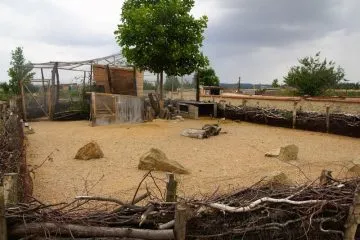 DSC08185