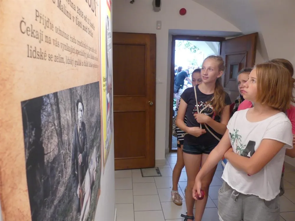 Ousteckej destilát představuje v&nbsp;galerii nejlepší výtvory studentů