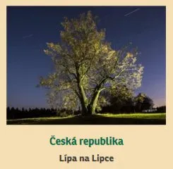 lipa_na_lipce