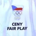 Školní cena fair play