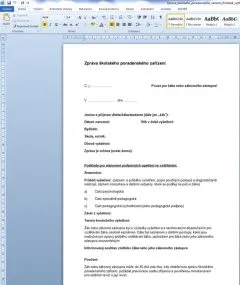 zprava_spz_nahled_dokumentu
