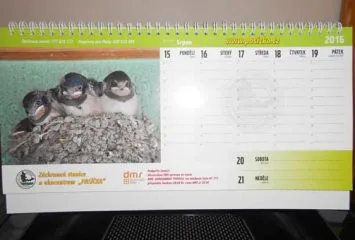 pasicka_kalendar2016b