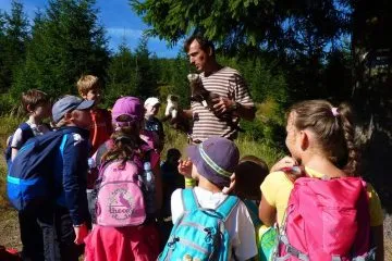 kral_sneznik_v2