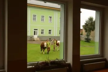 Kluci_se_dobytka_neboji1