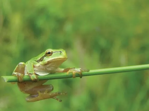 Studijní materiály SŠZ a&nbsp;VOŠ Chrudim pro oblast environmentálního vzdělávání