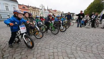 Hleda-se-vitez