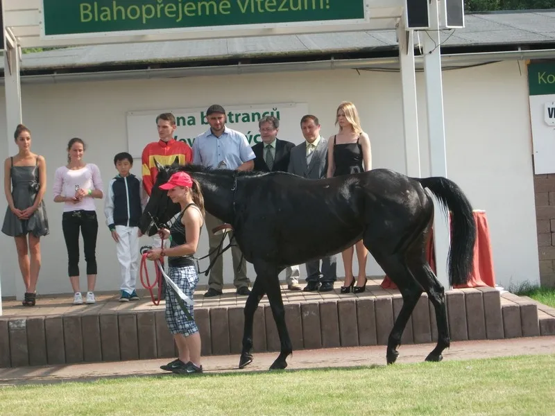 Na dostizích jednali o&nbsp;pardubických sportovištích