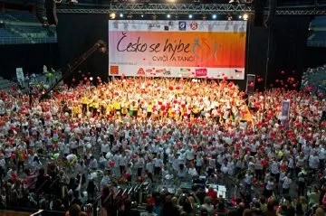 ceskosehybe2013_1