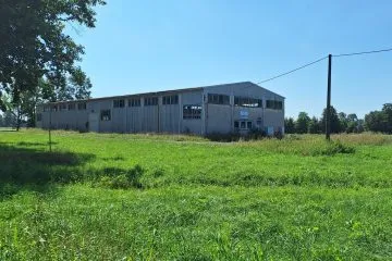 Kladruby-hala-11