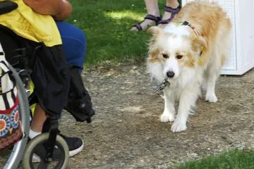 7110