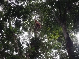 DSCN9863