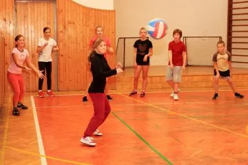Vybijena