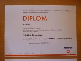 AMAVET-3