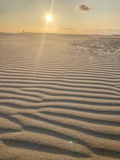 IMG1