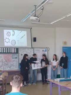 kompetencni_09