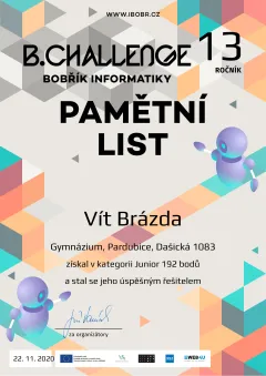 junior_01_brazda