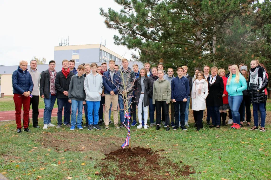 Strom republiky v&nbsp;areálu pardubického gymnázia na Dašické
