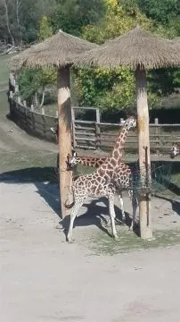 1_ZOO_05