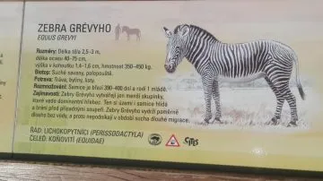 1_ZOO_06