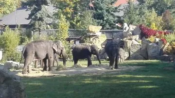ZOO_03