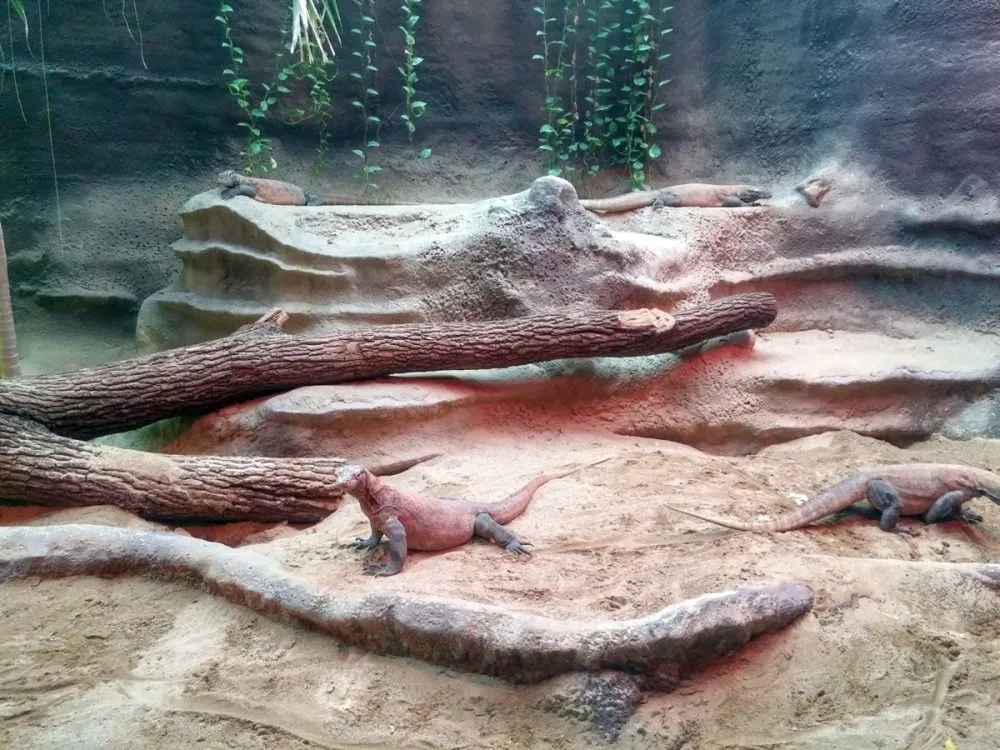 Žáci z&nbsp;pardubického Dašáku na exkurzi v&nbsp;pražské ZOO