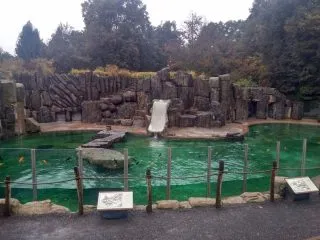 ZOO_05
