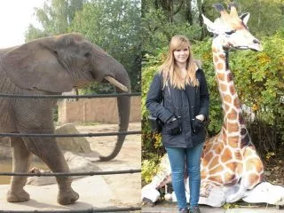 gydasicka_zoo