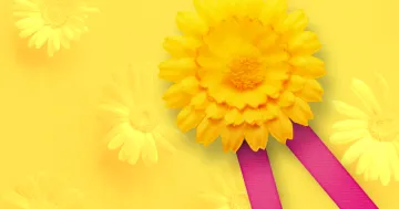 kvetinky