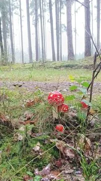 IMG-20241004-WA0000