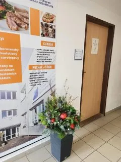 GH6