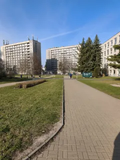 MT3