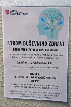 STROM05